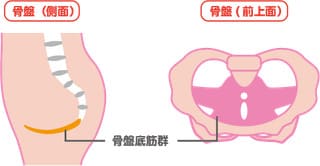 骨盤底筋マッサージ